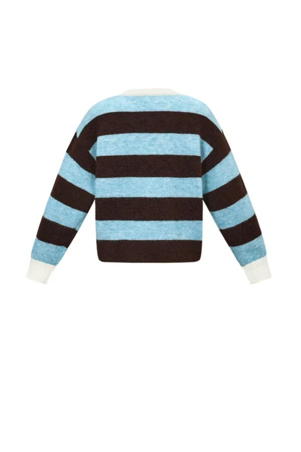 The hairy striped sweater blue brown
